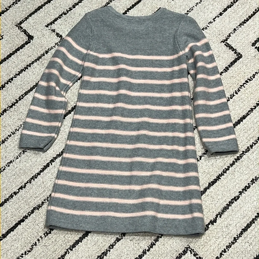 Baby Gap sweater Dress